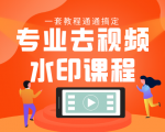 专业去视频水印教程 静态水印、动态水印、文字水印、图片水印一套教程通通搞定-逐风项目库
