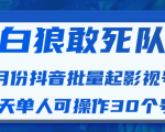 白狼敢死队最新抖音短视频批量起影视号（一天单人可操作30个号）视频课程-逐风项目库