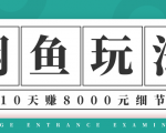 龟课·闲鱼项目玩法实战班第12期，操作10天左右利润有8000元细节玩法-逐风项目库