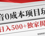 短视频变现套路剖析，抖音0成本赚钱项目玩法，日入500+独家揭秘（共2节视频）-逐风项目库