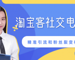 某站内部课程：淘宝客社交电商裂变，精准引流和粉丝裂变模式详解（共6节视频）-逐风项目库