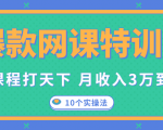爆款网课特训营，一套课程打天下，网课变现的10个实操法，月收入3万到10万-逐风项目库
