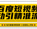 百度短视频被动引精准流量，每天躺着来精准粉，超级简单小白轻松上手-逐风项目库