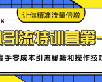 卓凡引流特训营第一期：高手零成本引流秘籍和操作技巧，让你精准流量倍增-逐风项目库