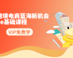 2020跨境电商蓝海新机会-SHOPEE基础课程：简单粗暴日报爆千单（27节课）-逐风项目库