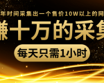 年赚十万的采集站，每天却只需要1小时，一年时间采集出一个售价10W以上的网站-逐风项目库