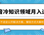 抖音冷知识领域月入过万项目，不适宜公开解决方案 ，抖音赚钱方式大解析！-逐风项目库