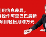 利用信息差异，零投资操作阿里巴巴最新管道项目轻松月赚10000+-逐风项目库