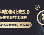 知乎精准引流5.0+知乎好物变现技术课程：每天1-2小时5天看效果，月入3W+-逐风项目库