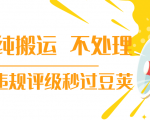 抖音纯搬运 不处理 小技巧，30秒发一个作品，避免违规评级秒过豆荚-逐风项目库