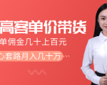 抖音高单价带货项目，一单佣金几十上百元，核心套路月入几十万（共3节）-逐风项目库
