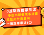 0基础直播带货课：小白也能低成本搭建疯狂卖货直播间：1场直播带货6万-逐风项目库