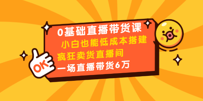 0基础直播带货课：小白也能低成本搭建疯狂卖货直播间：1场直播带货6万-逐风项目库