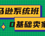 亚马逊系统班，专为0基础卖家量身打造，亚马逊运营流程与架构-逐风项目库