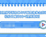 视频号新机制与不刷赞撸养生茶玩法，轻松日赚1000+-逐风项目库