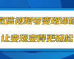 微信视频号变现项目，0粉丝冷启动项目和十三种变现方式-逐风项目库
