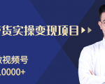 柚子分享课：微信视频号变现攻略，新手零基础轻松日赚千元-逐风项目库