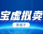 黑帽子淘宝虚拟卖货项目，单店每月收入5000+-逐风项目库