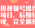 视频号操作书单变现项目，后期轻松变现，完全躺赚日入300至500元-逐风项目库