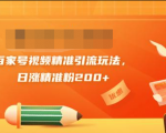 黄岛主引流课：百家号视频精准引流玩法，日涨精准粉200+-逐风项目库