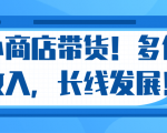 微信小商店带货，爆单多倍收入，长期复利循环！日赚300-800元不等-逐风项目库