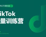2020最新TikTok流量增长训练营（完结）附PPT-逐风项目库