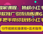 狼叔小红书爆款推广引流训练课6.0，手把手带你玩转小红书-逐风项目库