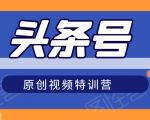 头条号原创视频特训营：一对一带你玩转短视频，新号10天日收益破252元-逐风项目库