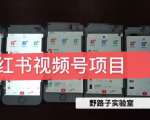 野路子小红书视频号1.0项目，直接上手操作就能赚钱的视频号项目-逐风项目库