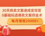 30天疯卖文案速成变现营，0基础玩透爆卖文案捞金术！每月增收20000+-逐风项目库