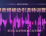 黄岛主·FM音频引流特训营2.0：独家引流模式，单账号50W+播放量，轻松变现-逐风项目库