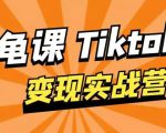 龟课·TikTok变现实战训练营线上第1期，多种变现模式，轻松赚美刀-逐风项目库