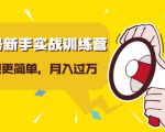视频号新手实战训练营，让变现更简单，玩赚视频号，轻松月入过万-逐风项目库