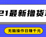 2021最新撸货项目，一部手机即可实现无脑操作轻松日赚千元-逐风项目库