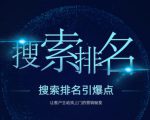 搜索排名引爆点：教你快速掌握各个搜索引擎排名算法，让客户主动找上你的秘笈-逐风项目库