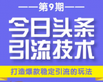 今日头条引流技术第9期，打造爆款稳定引流 百万阅读玩法，收入每月轻松过万-逐风项目库