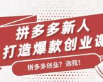 拼多多新人打造爆款创业课：快速引流持续出单，适用于所有新人-逐风项目库