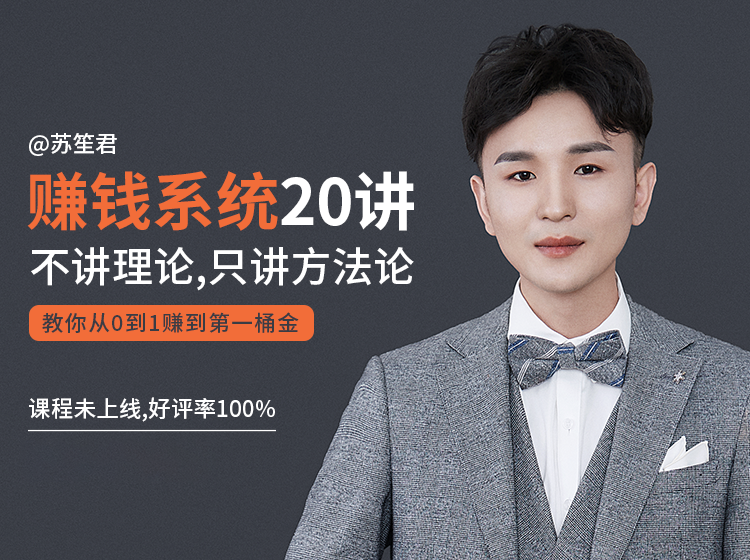 苏笙君的赚钱系统20课 教你从0到1赚到你的第一桶金（不讲理论，只讲方法论）-逐风项目库