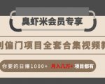 暴利偏门项目全套合集视频教程：你要的日赚1000+月入几万+项目都有-逐风项目库