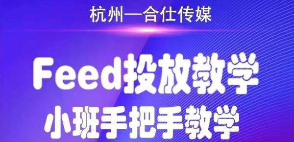 合仕传媒Feed投放教学，手把手教学，开车烧钱必须自己会-逐风项目库