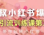 狼叔小红书爆款推广引流训练课第12期，手把手带你玩转小红书-逐风项目库