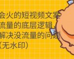 只说话就会火的短视频文案课，从根本上解决没流量的问题-逐风项目库