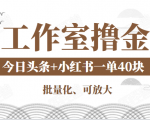 工作室撸金二件套：撸今日头条原创收益+小红书一单利润40块项目-逐风项目库