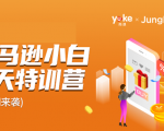 雨课·亚马逊小白特训营第9期 跨境电商挺赚钱的 有朋友已经月入几十万美金-逐风项目库
