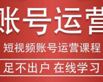 短视频账号运营课程：从话术到短视频运营再到直播带货全流程，新人快速入门-逐风项目库