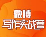 村西边老王·微博超级写作实战营，帮助你粉丝猛涨价值999元-逐风项目库