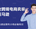 职业跨境电商卖家聊亚马逊：亚马逊运营的10项必备知识，12堂课让你看懂亚马逊运营-逐风项目库