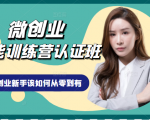 微创业全能训练营认证班课程，从理论知识与实际案例手把手指导创业新手如何从零到有-逐风项目库