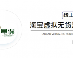 龟课·淘宝虚拟无货源电商5期，全程直播 现场实操，一步步教你轻松实现躺赚-逐风项目库
