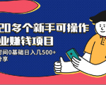20多个新手可操作的副业赚钱项目：业余时间0基础日入几500+实操分享-逐风项目库